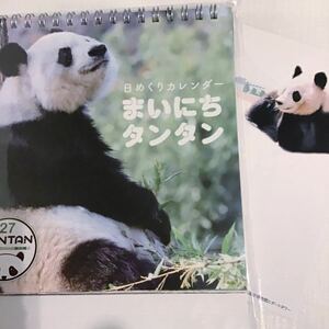 王子動物園　レア　パンダのタンタン昔のハガキ　2023カレンダー　タンタン27th