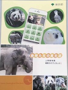 上野動物園　動物たちの食生活　冊子　チラシ　ジャイアントパンダ　配布物　リーリーシンシン