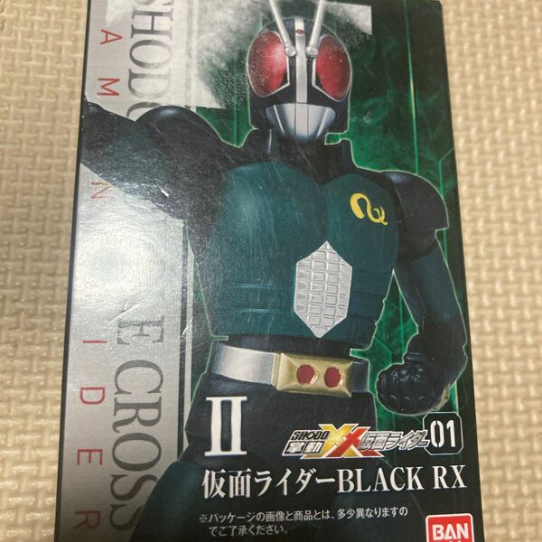 仮面ライダー BLACK RX SHODO 掌動