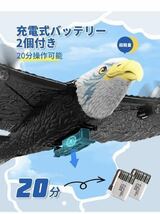 バッテリー2本 ラジコン 鳥型飛行機 グライダー RC 子供 初心者 EPP軽量 耐衝撃 6軸ジャイロ付き 2.4G おもちゃ 子供 FX651 Eagle プレーン_画像4