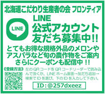 北海道産 かぼちゃ 5玉 有機酵素栽培_画像2