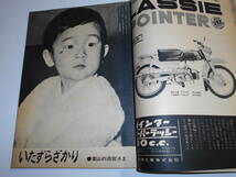 週刊平凡 1962年昭和37年3 15 ザ・ピーナッツ/伊東ゆかり/市川海老蔵/加山雄三/高峰秀子/藤島恒夫/高橋英樹/大川橋蔵/長島茂雄 クリント _画像5