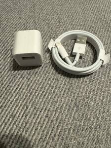 純正品 ケーブル iPhone Lightning ライトニング 器 Apple アイフォン USB アダプタ 