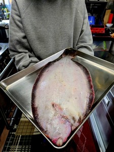 ★お家でご馳走・師走から煮物カレイと言ったらコレ。1キロ超えの子持ちナメタカレイ1枚。フワッと柔らかい煮方お教え致します！