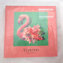 Flamingo / TEENAGE RIOT フラミンゴ盤 米津玄師 初回限定盤 DVD スマホリング付_画像1