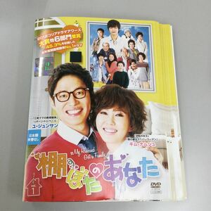 1117 韓国　棚ぼたのあなた　全29巻　※25巻ディスク中央割れあり　レンタル落ち　DVD 中古品　ケースなし　ジャケット付き