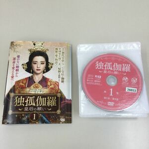 11115 独孤伽羅　28巻セット　レンタル落ち　DVD 中古品　ケースなし　ジャケット付き