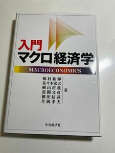 入門マクロ経済学