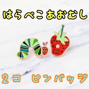 2個セット はらぺこあおむし ピンバッジ アクセサリー