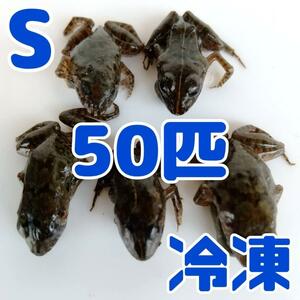 【国産】冷凍カエル 餌用 S 50匹 胴長2~2.5cm ヌマガエル ヘビ用 蛇 @65円