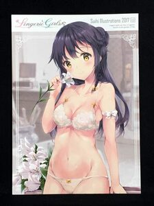 【C1725】　Oracle Eggs Lingerie Girls オリジナル　同人誌