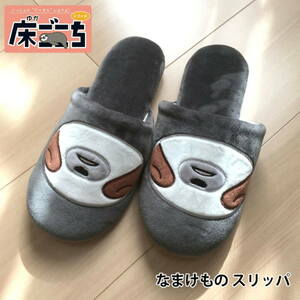  new goods tag attaching floor ...... thing. bo- Chan slippers room shoes 
