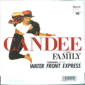 試聴 非売品 7inch. 和モノ ブギー・ディスコ CANDEE / WATER FRONT EXPRESS □wamono City Pop AOR disco ブレイク muro dj xxxl