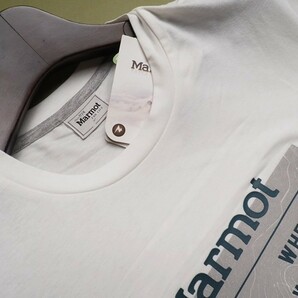 新品展示品 Marmot マーモット 海外限定 吸汗速乾 Yosemite Round 半袖 Tシャツ95(M) ホワイト(WH) 直営店購入 TSM9008の画像3