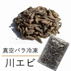 真空 バラ 冷凍 川エビ 450g かわえび エサ 熱帯魚 古代魚 餌 冷凍エサ カワエビ 海老 ※えさ用