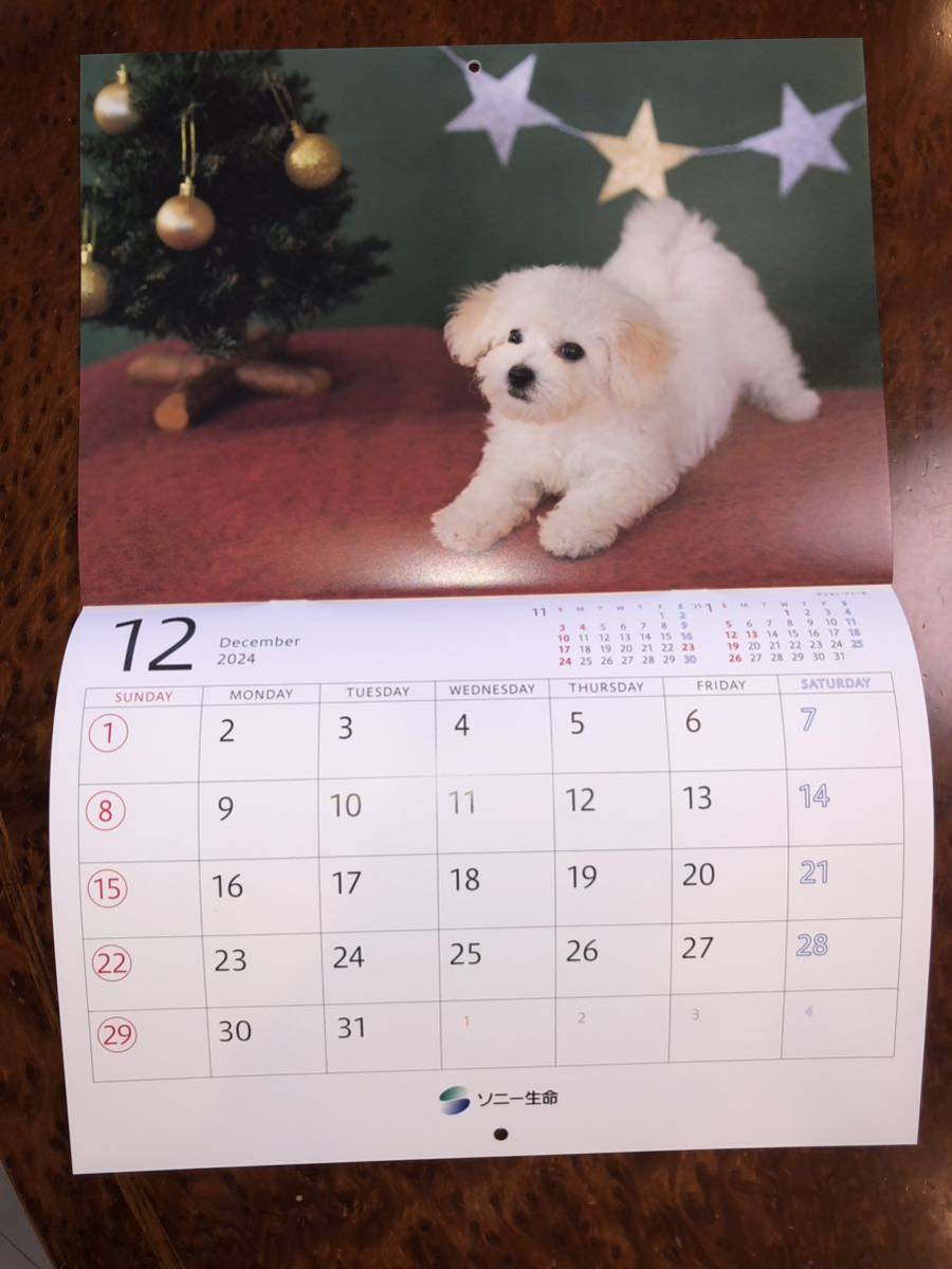 No está a la venta ◆ Sony Life ◆ Cachorros divertidos ◆ Calendario 2024/Reiwa 6 ◆ Asako Shimizu ◆ Perro ◆ Foto ◆ Calendario de pared ◆ Sony Group, impresos, calendario, animal