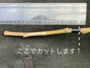 イチジク 穂木 SHOHAMI 緑肌赤肉の美しいイスラエルの品種 さし穂 fig cuttings