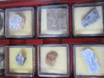 鉱物標本　石　天然石　ケース付き　コレクション_画像6