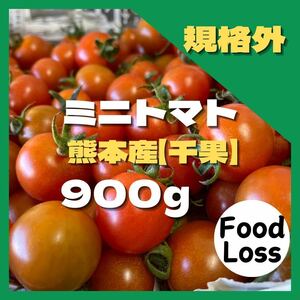 ミニトマト　999円 フードロス　野菜　熊本産　規格外　訳あり　安い　ミネラル