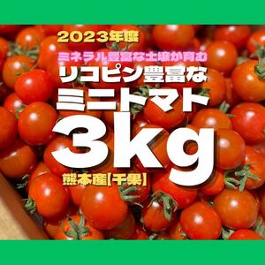 ミニトマト　3キロ　野菜　熊本産地直送　弁当　おかず　トマト　ミネラル