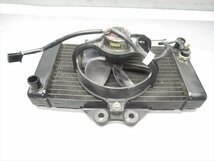 D2R5-1214 ホンダ VTR250 ラジエター ファン付 純正品 【MC33-1004*** 前期 タコ無し キャブモデル 動画有】_画像5