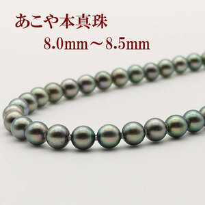 真珠 パール ネックレス あこや真珠 パールネックレス 8mm-8.5mm 黒真珠 ブラックパールシルバー 冠婚葬祭 葬儀 お葬式 15831