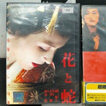 DVD　花と蛇.花と蛇2 2枚セット　杉本彩_画像2