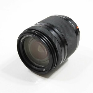 SONY ソニー SAL18250 DT 18-250mm F3.5-6.3 レンズ ジャンク #13086 趣味 コレクション カメラ レンズ アクセサリー