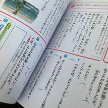 1779 夏にチャレンジ 3年 国語 算数 理科 社会 小学 ドリル 問題集 テスト用紙 教材 テキスト 解答 家庭学習 計算 漢字 過去問 ワーク 勉強_画像4