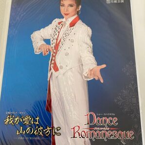 新品未開封　宝塚歌劇 月組公演 我が愛は山の彼方に／DanceRomanesque