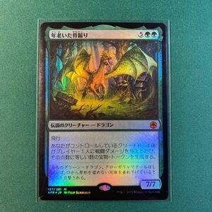 【1円出品】【foil 年老いた骨齧り】MTG フォーゴトン・レルム探訪