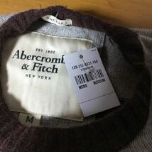 ☆ D10☆ 未使用 タグ付き 送料185円可 Abercrombie & Fitch アバクロ 茶系 丸首 ボーダーセーター カシミア混 メンズ M サイズ _画像3