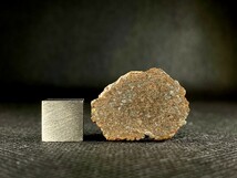希少 ユレイライト 隕石 NWA11448 メテオライト 3.5g モロッコ 天然石 宇宙由来 石質隕石 パワーストーン 原石 鉱物標本 エンドカット美品_画像4