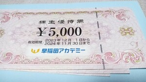 早稲田アカデミー　株主優待券　5000円×3 合計15,000円分 有効期限は2024年11月30日まで