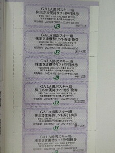 最新 JR東日本 株主優待 ガーラ湯沢スキー場 優待リフト券引換券 6枚セット 即決 9セットまで その2