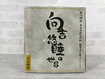 向吉悠睦の世界 現代佛像 観賞用仏像コレクション 1BOX_画像1