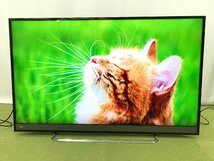 TOSHIBA 東芝 REGZA M 4K液晶テレビ 50M510X 50型 HDR対応 エッジ型LEDバックライト 外付けHDD 自動録画機能 TD12041I_画像1