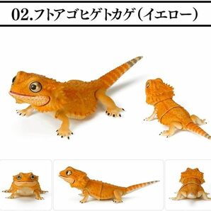 いきもの大図鑑 レプティ フトアゴヒゲトカゲ イエロー1種単品の画像1