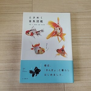 ときめく金魚図鑑 （Ｂｏｏｋ　ｆｏｒ　ｄｉｓｃｏｖｅｒｙ） 尾園暁／写真・文　岡本信明／監修