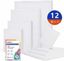 長方形-12枚 キャンバス F0+F2+F4+F6 各3枚 キャンバス 画材セット 12枚セット 張りキャンバス キャンバス 画_画像5