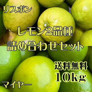 減農薬レモン 2品種詰め合わせセット　マイヤー＆リスボン 10kg 送料無料