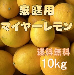 熊本県産 マイヤーレモン 家庭用 10kg 送料無料