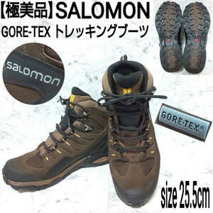 【極美品】SALOMON サロモン トレッキングブーツ マウンテンブーツ ワークブーツ スウェード GORE-TEX ゴアテックス メンズ 25.5cm 茶色