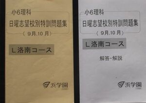 浜学園 (2019年) 小6 (理科)　日曜志望校別特訓問題集　L洛南コース (9月、10月)