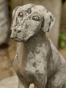 風雨に晒された犬像h32cm ガーデニング　ガーデンオブジェ 1204a