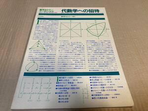 【送料込￥1400】数学セミナーリーディングス 1979　代数学への招待