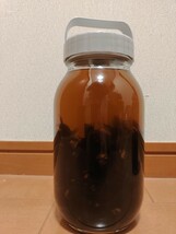 天然 オオスズメバチ 50匹 焼酎 900ml 5合 ホワイトリカー スズメバチ 焼酎漬け 古酒_画像1