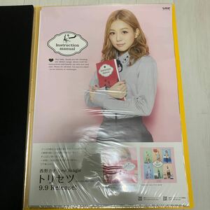 西野カナ　トリセツ 告知ポスター　非売品　B2サイズ　送料込み