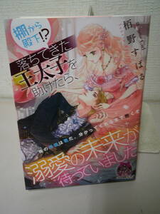 ●○ 棚から殿下落ちてきた王太子を助けたら、溺愛の未来が待っていました　　栢野すばる ○●