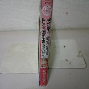 ●○ 棚から殿下落ちてきた王太子を助けたら、溺愛の未来が待っていました  栢野すばる ○●の画像3